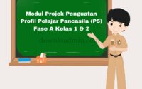 Modul P5