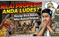 Umur Rumahmu Tinggal Hitungan Hari Kenali Tanda Rayap Sebelum Nilai Rumah Anjlok!